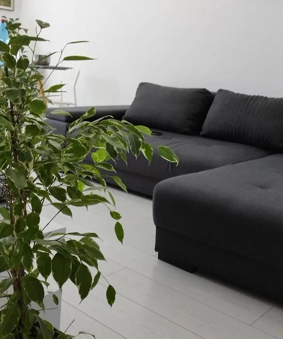 Appartement Luxury 2 Rooms Free Parking Air Conditioning Espresso Netflix Superb Modern Bright View Balcony Self Check In Militari Boekarest Roemenië
